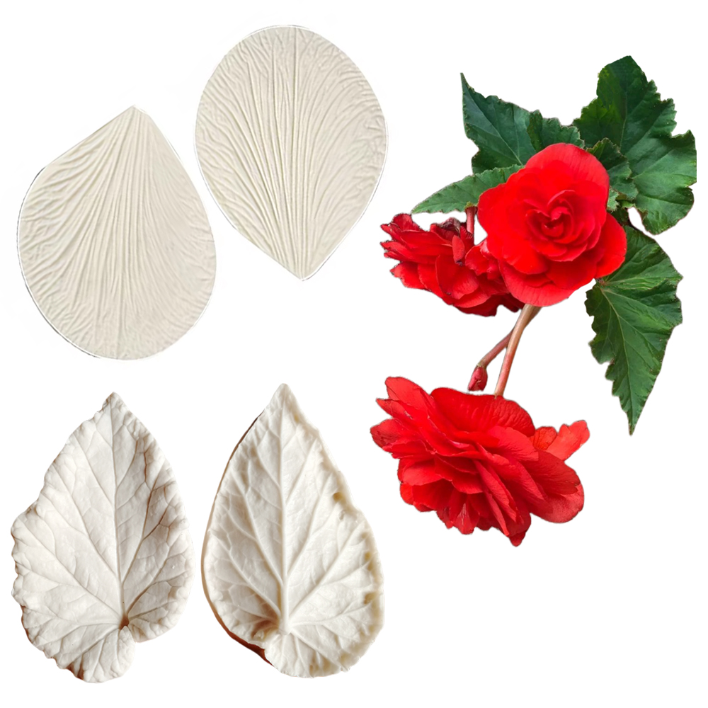 Begonia Tuberous Veiner Siliko – Eco Art Craft Bewertung und Preis