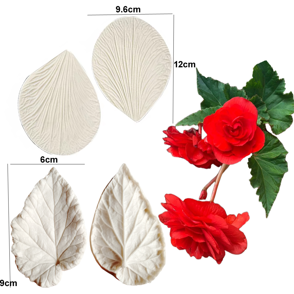 Begonia Tuberous Veiner Siliko – Eco Art Craft Bewertung und Preis