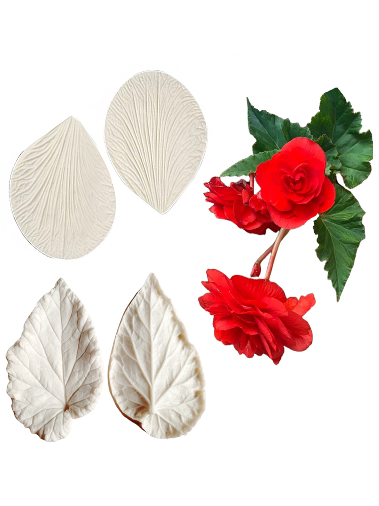 Begonia Tuberous Veiner Siliko – Eco Art Craft Bewertung und Preis