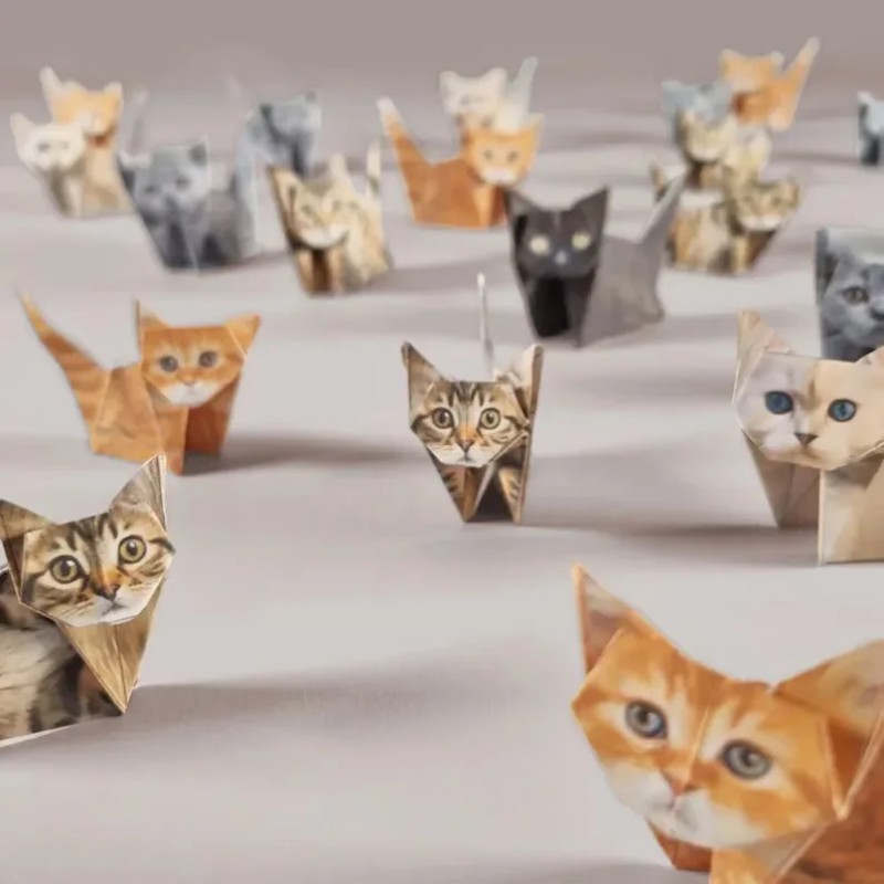 Kreatives DIY-Papier für Katze – Art Craft Dinosaurs Bewertung und Preis
