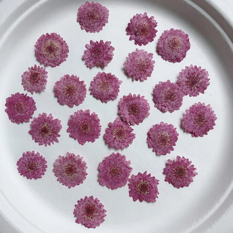 Natur gepresste Blumen echte g – Art Craft 2 Year Olds Bewertung und Preis