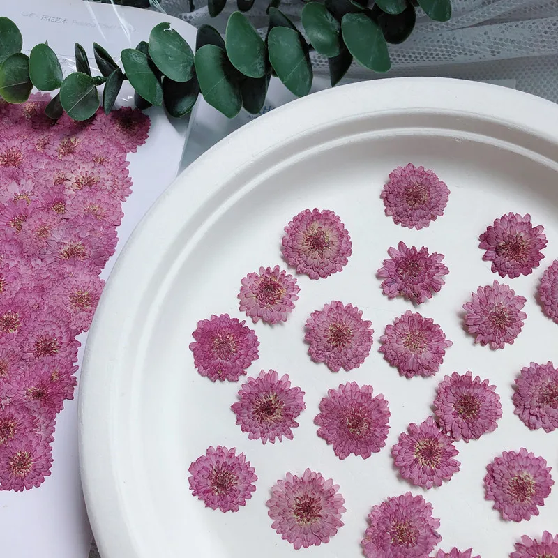 Natur gepresste Blumen echte g – Art Craft 2 Year Olds Bewertung und Preis