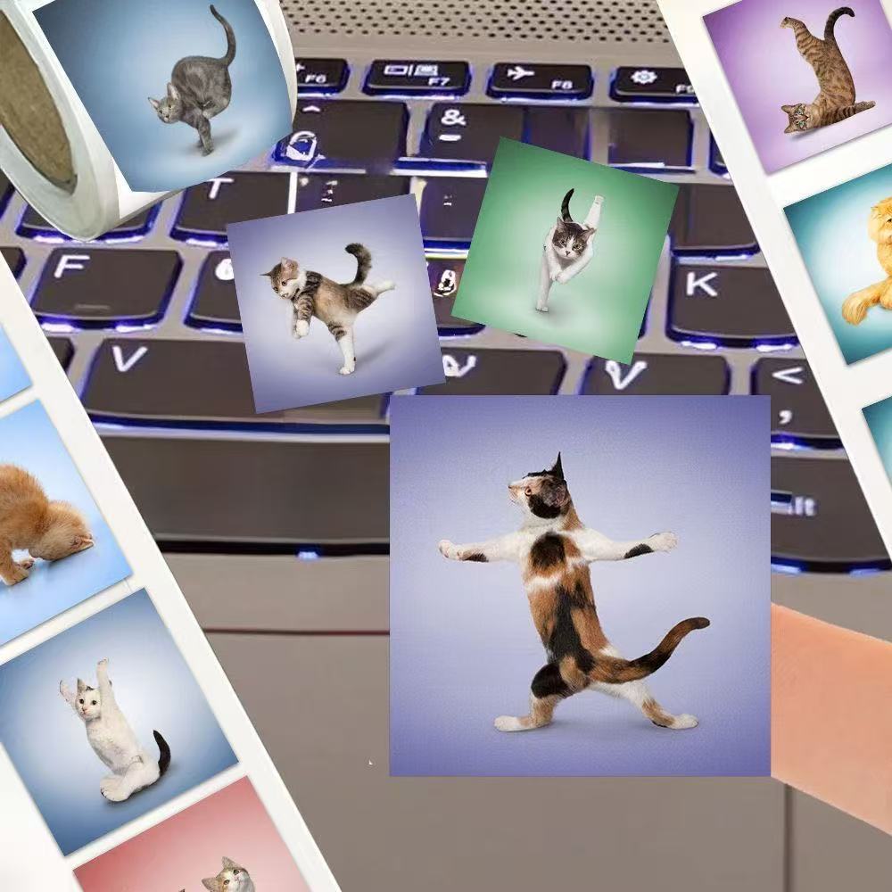 500 Stück Niedliche Katzen-Rol – Art Craft Journal Bewertung und Preis