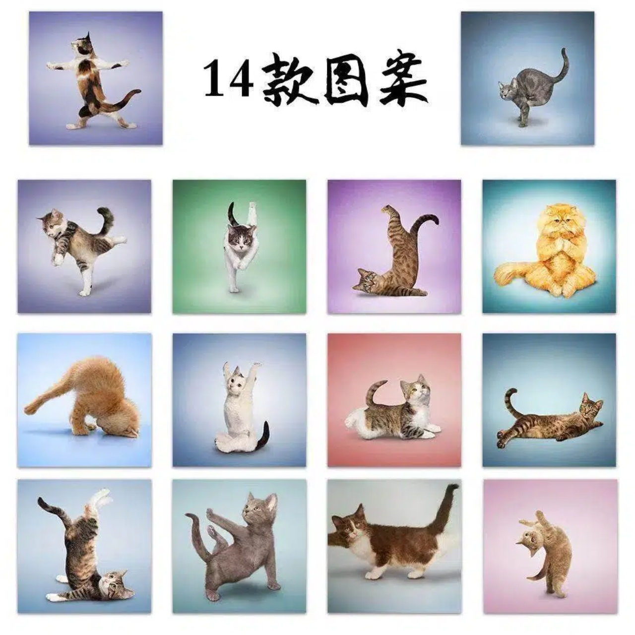 500 Stück Niedliche Katzen-Rol – Art Craft Journal Bewertung und Preis