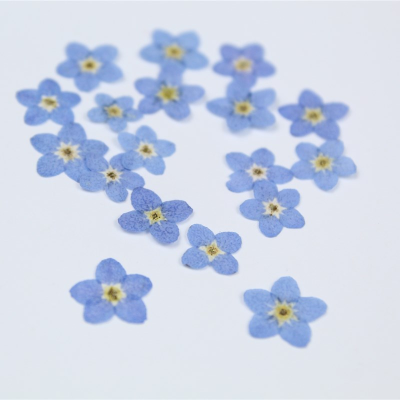 100 stücke/0,5-1cm, Gedrückt m – Art Craft 2 Year Olds Bewertung und Preis