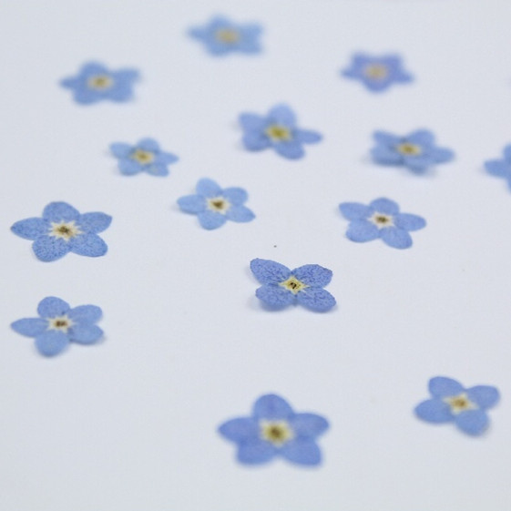 100 stücke/0,5-1cm, Gedrückt m – Art Craft 2 Year Olds Bewertung und Preis